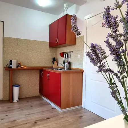 Tiny Studio Big Living Apartment